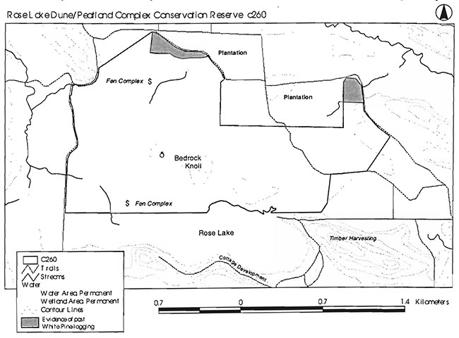This map provides detailed information about Values Map for Rose Lake Dune Peatland Complex (C260).