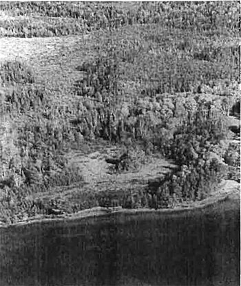 This photo shows Peatland touching the northeast shore of Rose Lake.