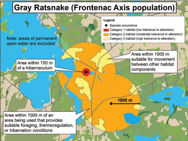 Figure is a diagram illustrating a sample application of the habitat regulation for Gray Ratsnake (Frontenac Axis population), depicting the habitat categorization described in this document.