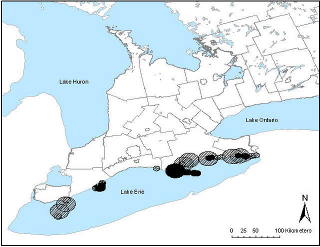 This is a figure 2 map depicting the distribution of Fowler’s Toads around Lake Erie.