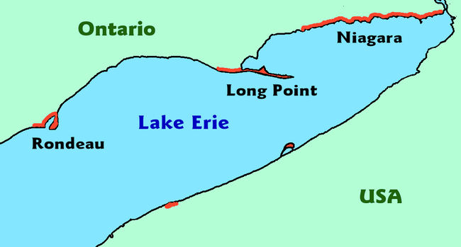 This is a map depicting locations around Lake Erie where Fowler’s Toad populations currently exist as of the year 2000.