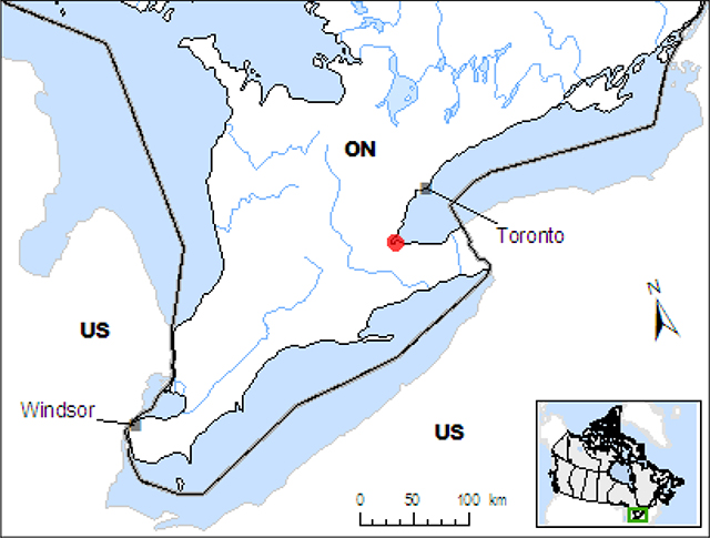 map depicting the Canadian distribution of Pycnanthemum incanum around the Great Lakes and Southern Ontario.