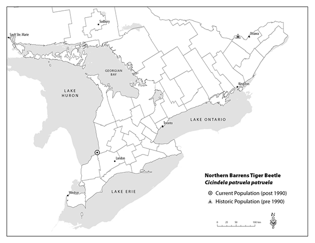 This is map of Southern Ontario showing the current population post 1990.