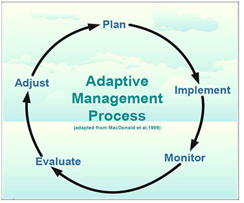 This photo shows Adaptive Management Process.