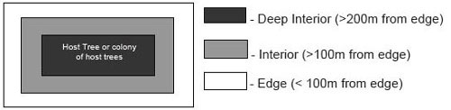 black and white schematic of habitat regulation recommendation for the Pale-bellied Frost Lichen. The dark grey rectangle represents deep interior, light grey represents the interior and while represents the edge.