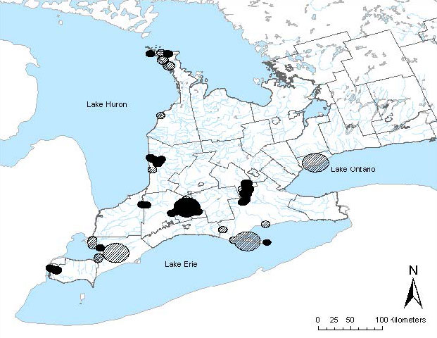 Distribution of the Queensnake in southern Ontario. Hatched areas represent historic records (over 20 years old) and solid areas represent recent records (less than 20 years old).