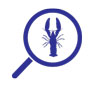 Diagram of a purple magnifying glass with a lobster in the middle, indicating detection and identification of invasive species before or immediately after they become established.