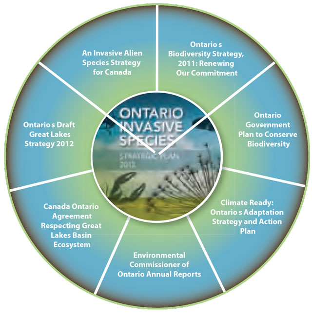 Circular chart showing linkages between the Ontario Species Strategic Plan and other initiatives