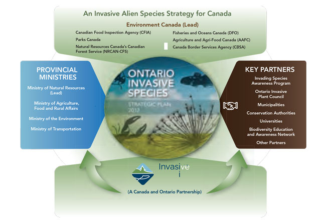 figure showing the provincial ministries and key partners involved in the delivery of the Ontario Invasive Species Strategic Plan, with Environment Canada as the lead.