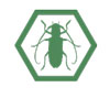 Diagram of a green hexagon with an insect in the middle, indicating prevention of harmful introductions of invasive species before they occur.