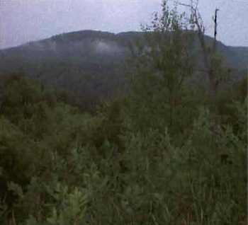 Photo showing the View from Ranger Lake Road lookout point north-northeast into the Searchmont South Forest Conservation Reserve. 