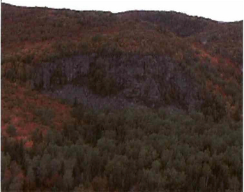 Photo showing the South-facing ridge situated in Searchmont Forest South Conservation Reserve.
