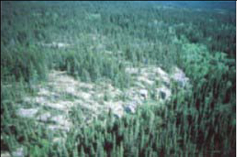 This photo shows Bedrock outcrop (SW corner?) surrounded by Pj dominant conifer and Sb predominant conifer forest communities.