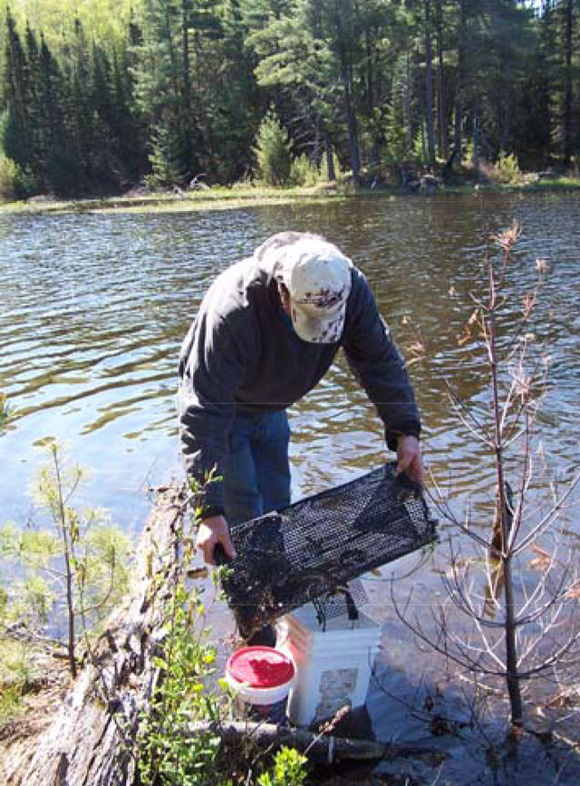 Colour photo of an individual handling bait near a lake.