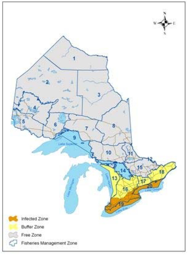 Map of Ontario showing Viral Hemorraghic Septicemia (VHS) management zones. Infected Zones are indicated with brown, Buffer Zones are indicated with yellow, Free Zones are indicated with lilac and Fisheries Management Zones are indicatd with blue.
