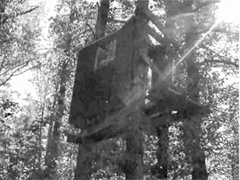 This photo shows One of many moose stands located along the all-terrain vehicle (ATV) trail running through the center of the site north of Salve lake.