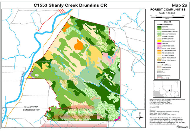 map provides detailed information about forest communities.