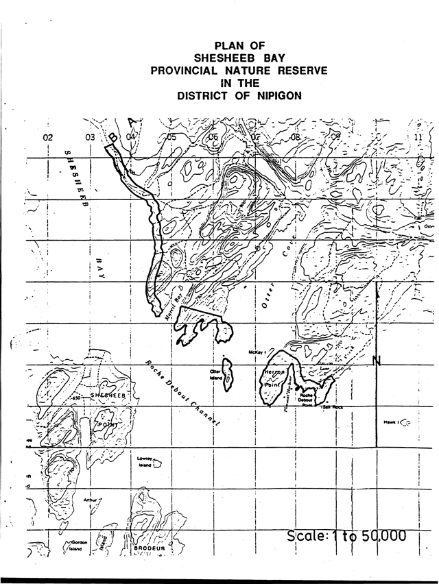 Plan of Shesheeb bay Provincial Nature Reserve in the District of Nipigon