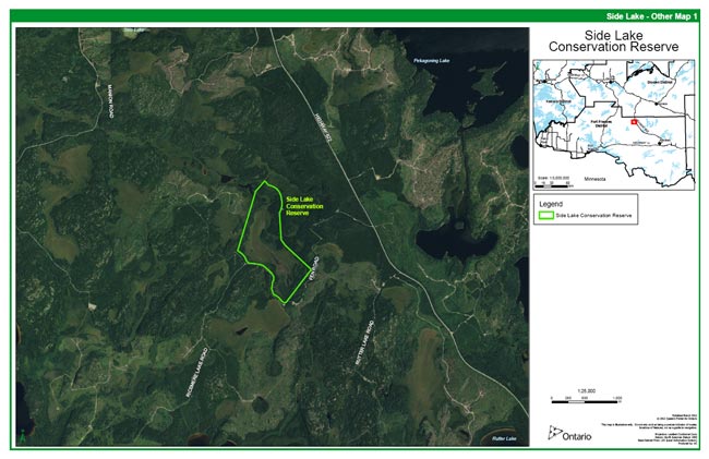 Outline of Side Lake Conservation Reserve is overlain on summer season satellite imagery of the area. You can distinctly see the wetland areas and the patterned fen within the conservation reserve as well as the adjacent forest access roads and areas previously harvested.