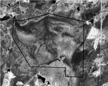 Photo showing Satellite image of Sifton Township Conservation Reserve.