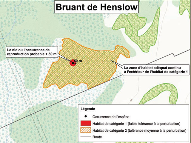 Diagramme servant d’exemple d’application du règlement sur l’habitation Henslow (Ammodramus henslowii). Il illustre la catégorisation d’habitat décrite dans ce document.