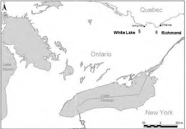 Greyscale map depicts southern Ontario and Great Lakes area. Populations are depicted in White Lake and Richmond with grey dots.