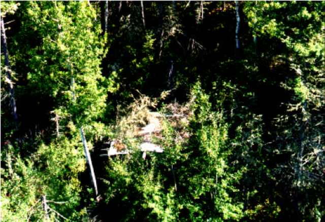 Photo showing overhead view of abandoned hunter’s shack