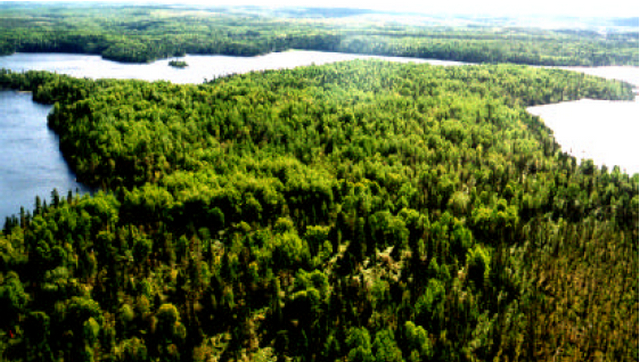 Photo showing Solitary Lake Conservation Reserve - (peninsula)