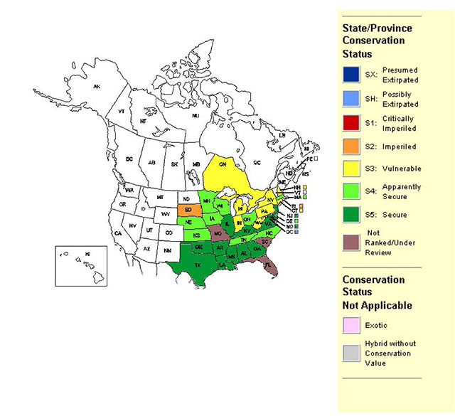 Map of North America showing state/province conservation statuses for the Eastern Hog–nosed snake. Areas where the species is presumed extirpated are in dark blue, possibly extirpated in light blue, critically imperilled in red, imperiled in orange, vulnerable in yellow, apparently secure in light green, secure in dark greeen and not ranked/under review in purple.
