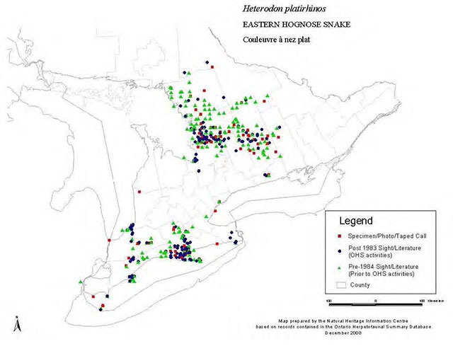 Black and white line map of southern Ontario. Legend indicates Specimen/Photo/Taped Call areas with red sqaures. Post 1983 Sight/Literature areas are indicated with blue circles. Pre-1984 Sight/Literature areas are indicated with green circles. Country is indicated with white.