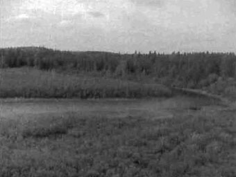 black and white photo of the Misema River system south of Grassy Lake makes up a part of the Conservation Reserves Western border.