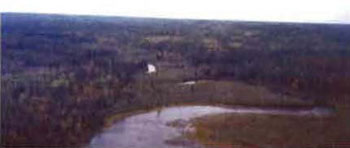 colour photo of a view looking south down Misema River along site’s western boundary. Tall shrub shore fen (floodplain) is seen along river’s bank. Black spruce is predominant conifer along edge. Harvested area seen beyond river reserve.