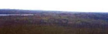 colour photo taken from the south boundary (south of Grassy Lake), looking northeast.