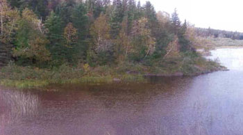 colour photo of Figure 3.0: South shore of Grassy Lake.