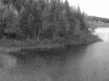 black and white photo of the south shore of Grassy lake, northern boundary of the South Grassy Lake Outwash Conservation Reserve.