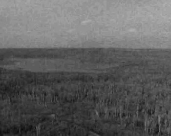 black and white photo of Grassy Lake looking southeast, shows marshlands surrounding Grassy lake and mixed conifer/deciduous forest to the south.