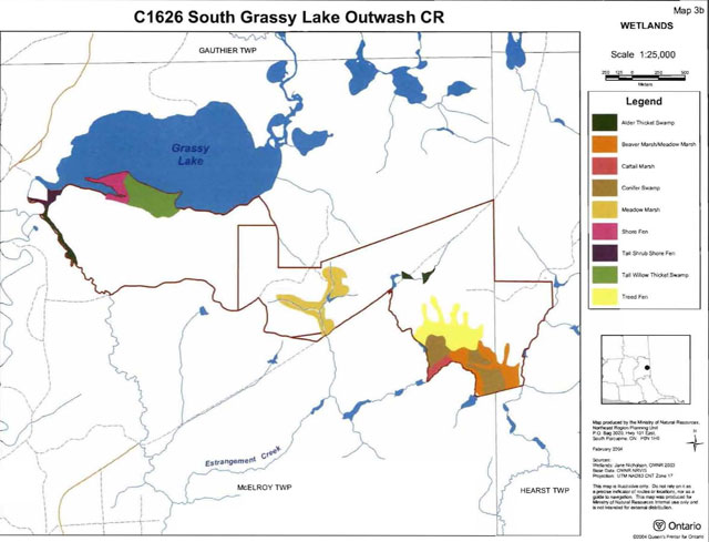 colour map of South Grassy Lake Outwash Conservation Reserve wetlands. Dark green areas represent alder thicket swamp, orange areas represent beaver marsh/meadow marsh, red areas represent cattail marsh, brown areas represent conifer swamp, gold areas represent meadow marsh, pink areas represent shore fen, dark purple areas represent tall shrub shore fen, light green areas represent tall willow thicket shrub and yellow areas represent treed fen.