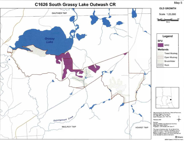 colour map of South Grassy Lake Outwash Conservation Reserve old growth including four types of wetlands. Purple areas represent spruce fir mixed Standard Forest Unit.