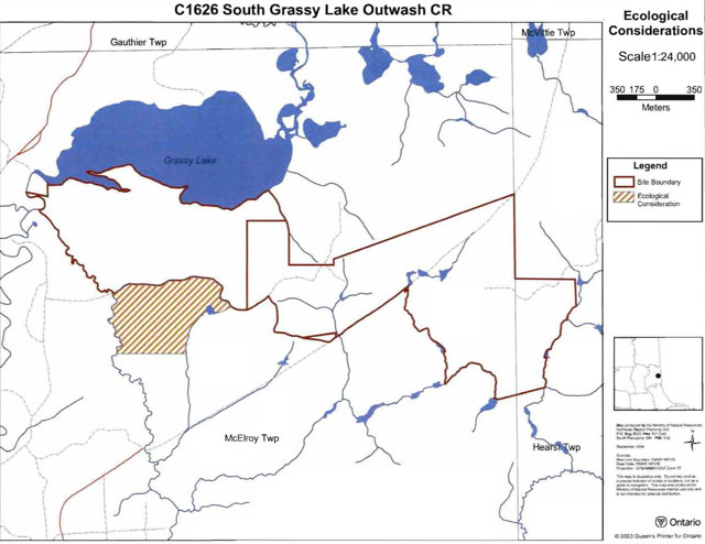 South Grassy Lake Outwash Conservation Reserve ecological considerations. Areas outlined in brown represent site boundaries and areas shaded in light brown diagonal lines represent ecological considerations.