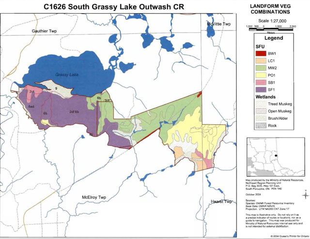 colour map of South Grassy Lake Outwash Conservation Reserve landform vegetation combinations including six standard forest units and four types of wetlands.