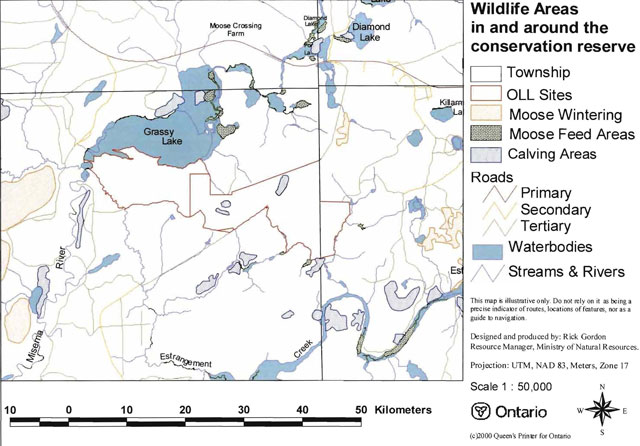colour map of wildlife areas in and around the conservation reserve. Black outlined areas represent townships, brown outlined areas represent Ontario Living Legacy sites, blue areas represent waterbodies, yellow areas represent moose wintering, green areas represent moose feed areas, light blue areas represent calving areas. Map also shows primary, seconday and tertiary roads, streams and rivers.
