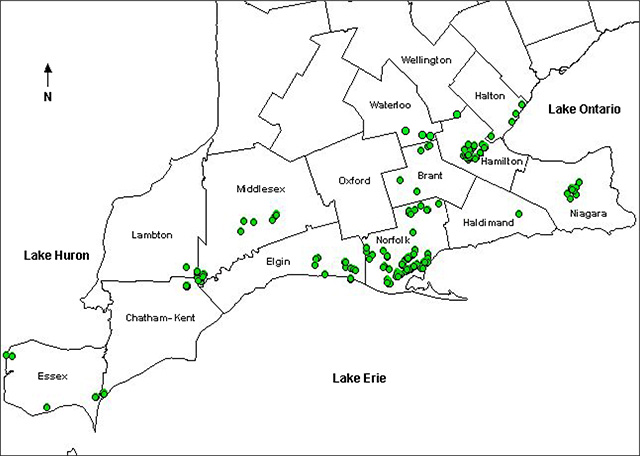 this is figure 2 map of southern Ontario indicating occurrence sites of the American Chestnut.