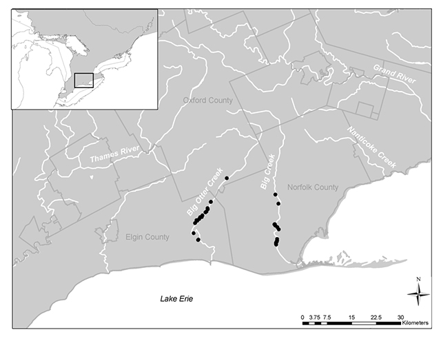 This is a map depicting the distribution of Laura’s Clubtail in Ontario.