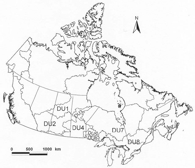 Grey scale map of Canada showing Lake Sturgeon designated units DU1 through DU8.