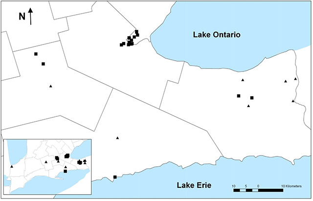 This is figure 1 map showing the historical and current distribution of the American Coumo in Ontario. Squares represent populations verified since 1993; triangles represent historical populations not observed since 1993.
