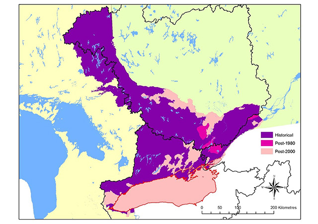 Colour map of Ontario depicts the historical range of eels in purple. Post 2000 population range is depicted in light pink. Post 1980 populations are depicted in bright pink.