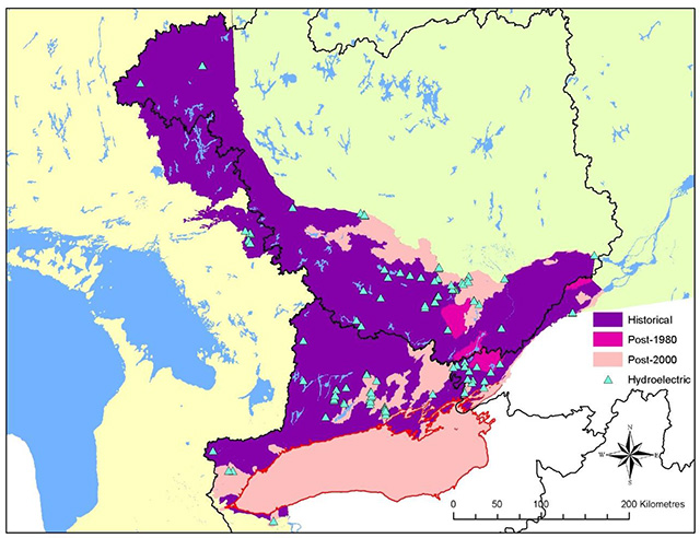 Colour map of Ontario depicts the historical range of eels in purple. Post 2000 population range is depicted in pink. Post 1980 populations are depicted in bright pink. Hydro-electric facilities are depicted with small green triangles.
