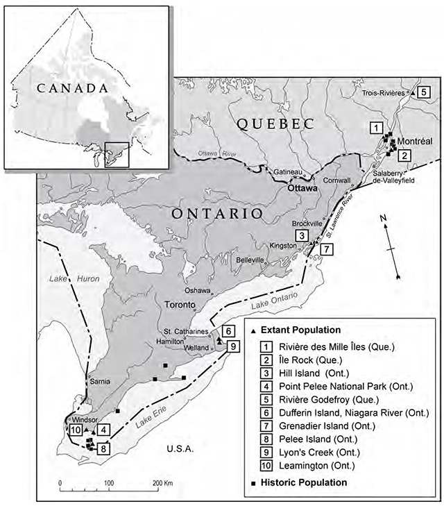 This is figure 2 map indicating the Distribution of extant and historic American Water-willow populations in Canada