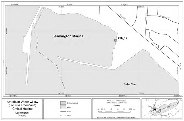 This is figure 3 map indicating the critical habitat in Leamington where the American Water-willow is found.