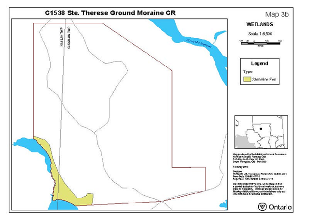 This is Map 3b which indicates the wetland areas found within Ste. Thérèse Ground Moraine Conservation Reserve illustrated through colour.